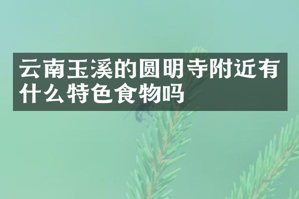 云南玉溪的圆明寺附近有什么特色食物吗