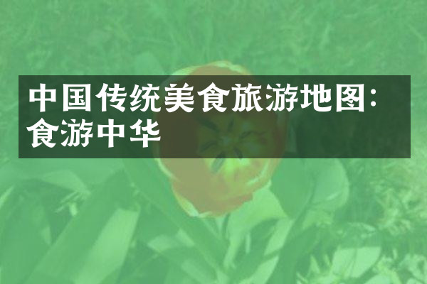 中国传统美食旅游地图：食游中华