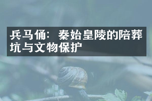 兵马俑：秦始皇陵的陪葬坑与文物保护