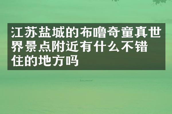 江苏盐城的布噜奇童真世界景点附近有什么不错的住的地方吗