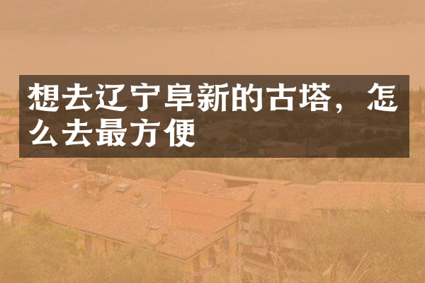 想去辽宁阜新的古塔，怎么去最方便