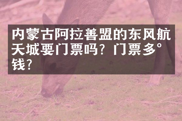 内蒙古阿拉善盟的东风航天城要门票吗？门票多少钱？