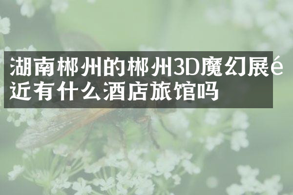 湖南郴州的郴州3D魔幻展附近有什么酒店旅馆吗