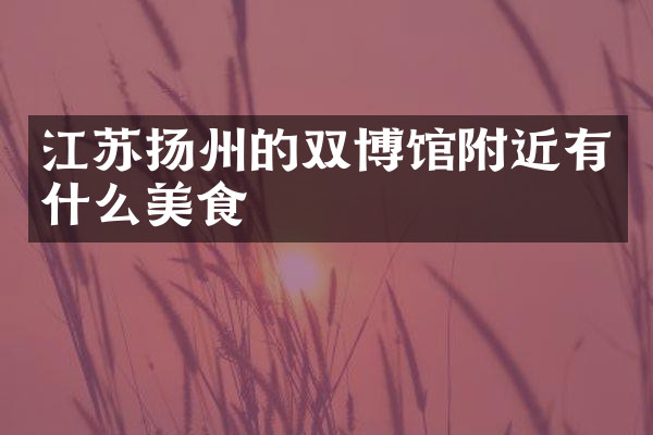 江苏扬州的双博馆附近有什么美食