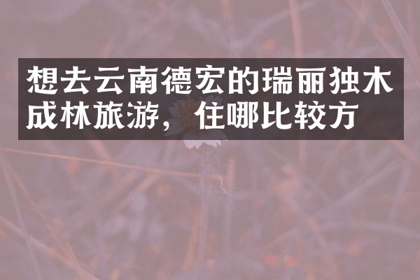 想去云南德宏的瑞丽独木成林旅游，住哪比较方便