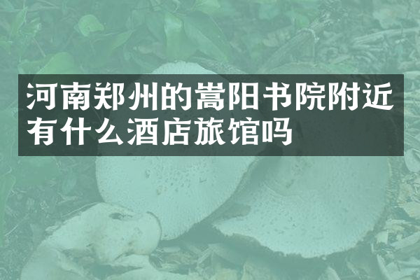 河南郑州的嵩阳书院附近有什么酒店旅馆吗