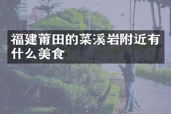 福建莆田的菜溪岩附近有什么美食