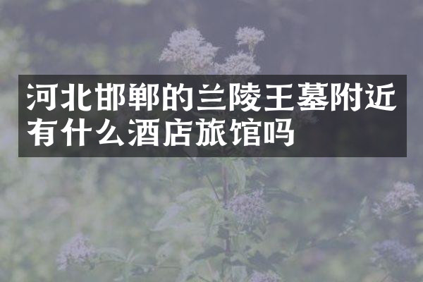 河北邯郸的兰陵王墓附近有什么酒店旅馆吗