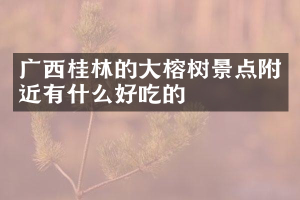 广西桂林的大榕树景点附近有什么好吃的