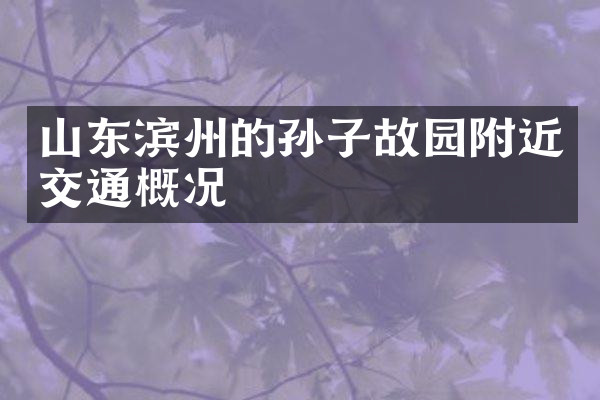 山东滨州的孙子故园附近交通概况
