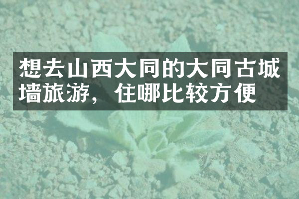 想去山西大同的大同古城墙旅游，住哪比较方便