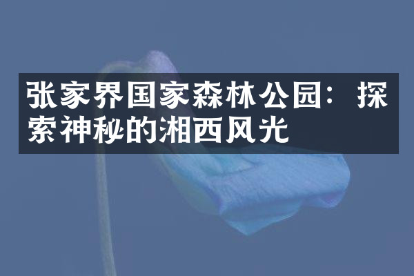 张家界国家森林公园：探索神秘的湘西风光