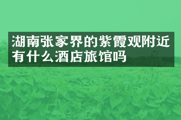 湖南张家界的紫霞观附近有什么酒店旅馆吗