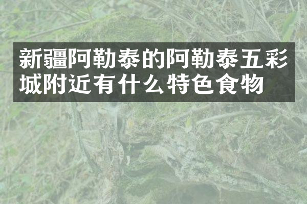 新疆阿勒泰的阿勒泰五彩城附近有什么特色食物吗