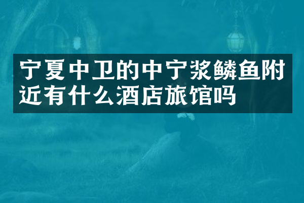 宁夏中卫的中宁浆鳞鱼附近有什么酒店旅馆吗