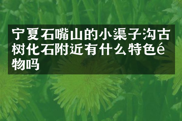宁夏石嘴山的小渠子沟古树化石附近有什么特色食物吗
