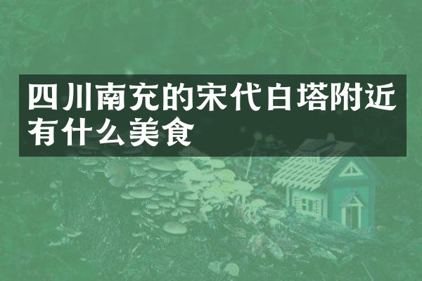 四川南充的宋代白塔附近有什么美食