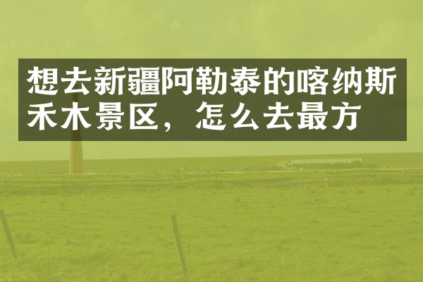 想去新疆阿勒泰的喀纳斯禾木景区，怎么去最方便