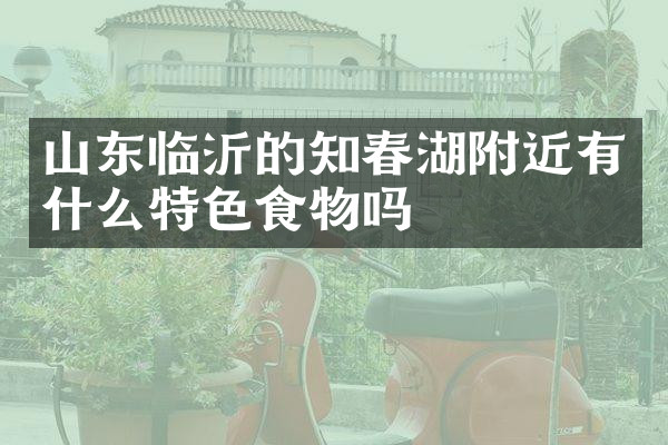 山东临沂的知春湖附近有什么特色食物吗