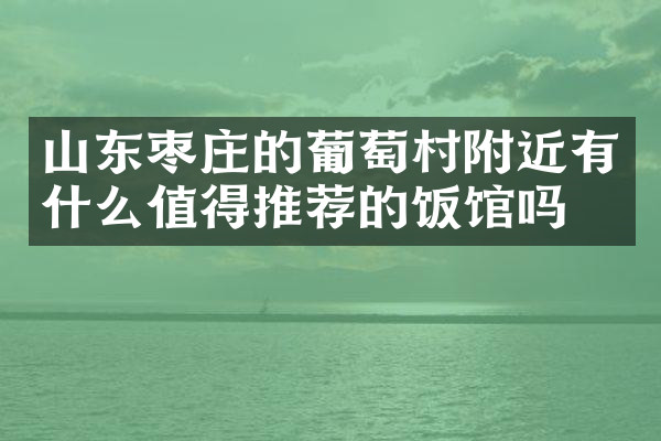 山东枣庄的葡萄村附近有什么值得推荐的饭馆吗