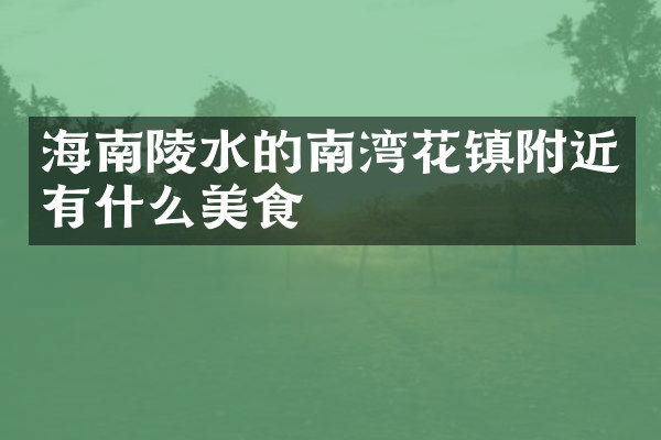 海南陵水的南湾花镇附近有什么美食