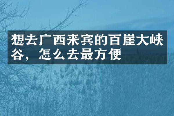 想去广西来宾的百崖大峡谷，怎么去最方便
