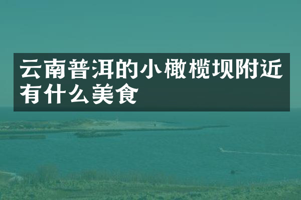 云南普洱的小橄榄坝附近有什么美食