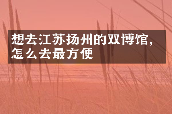 想去江苏扬州的双博馆，怎么去最方便