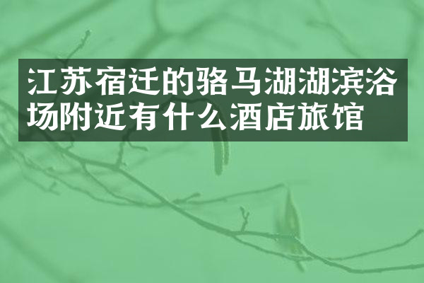 江苏宿迁的骆马湖湖滨浴场附近有什么酒店旅馆吗