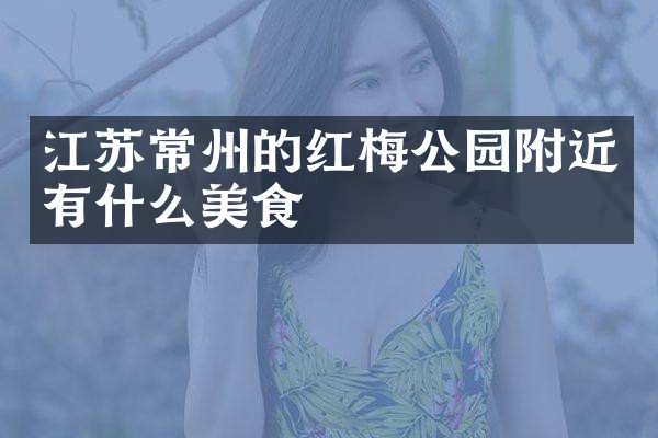 江苏常州的红梅公园附近有什么美食