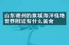 山东德州的泉城海洋极地世界附近有什么美食
