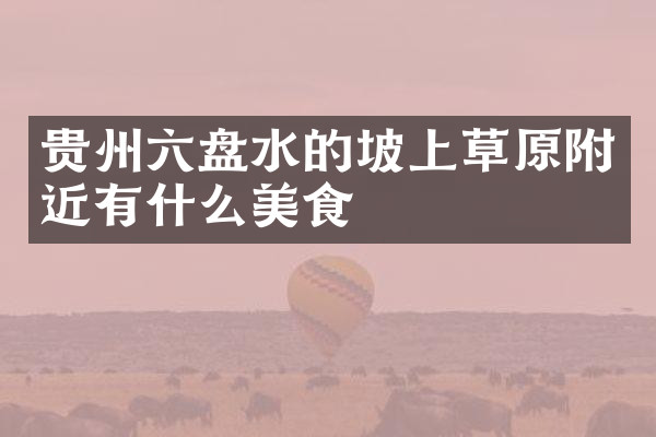 贵州六盘水的坡上草原附近有什么美食