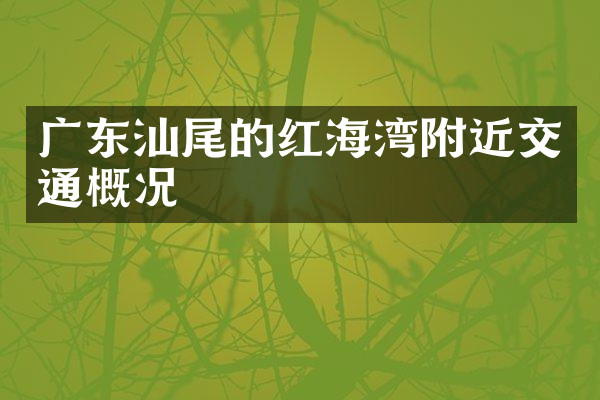 广东汕尾的红海湾附近交通概况