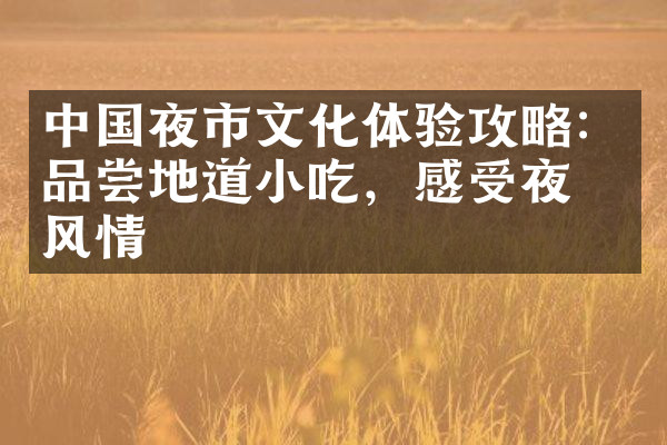 中国夜市文化体验攻略：品尝地道小吃，感受夜晚风情