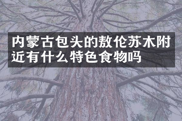 内蒙古包头的敖伦苏木附近有什么特色食物吗