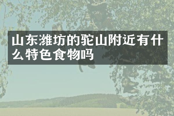 山东潍坊的驼山附近有什么特色食物吗