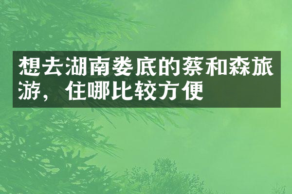 想去湖南娄底的蔡和森旅游，住哪比较方便