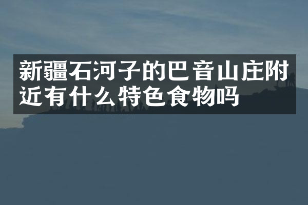 新疆石河子的巴音山庄附近有什么特色食物吗