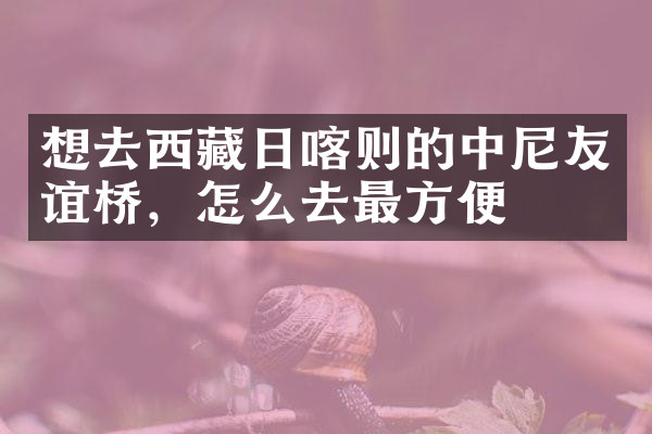 想去西藏日喀则的中尼友谊桥，怎么去最方便