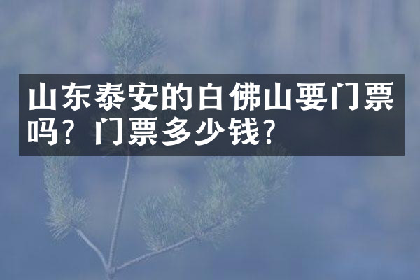 山东泰安的白佛山要门票吗？门票多少钱？