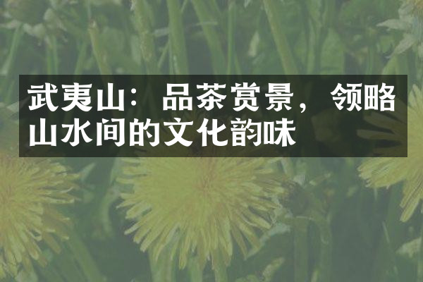 武夷山：品茶赏景，领略山水间的文化韵味