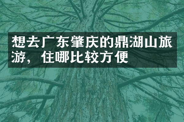 想去广东肇庆的鼎湖山旅游，住哪比较方便