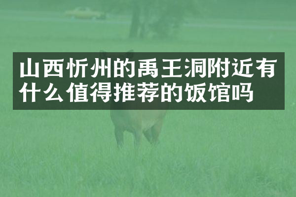 山西忻州的禹王洞附近有什么值得推荐的饭馆吗