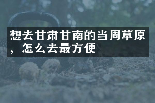 想去甘肃甘南的当周草原，怎么去最方便