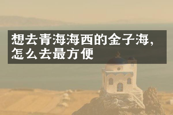想去青海海西的金子海，怎么去最方便