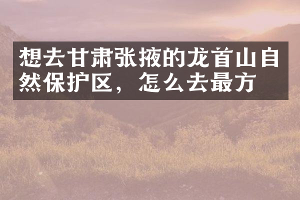 想去甘肃张掖的龙首山自然保护区，怎么去最方便