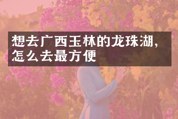 想去广西玉林的龙珠湖，怎么去最方便
