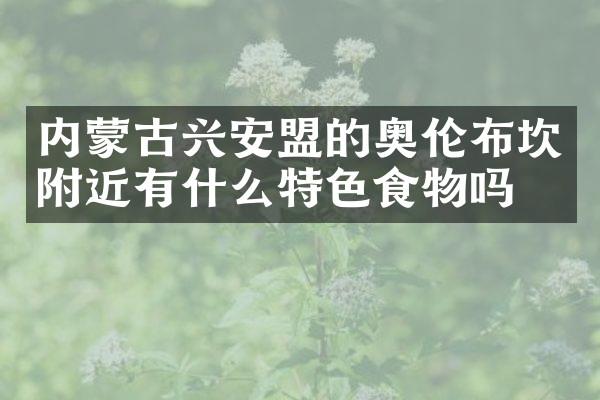内蒙古兴安盟的奥伦布坎附近有什么特色食物吗