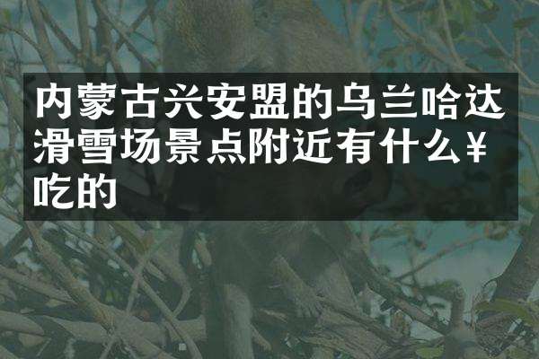 内蒙古兴安盟的乌兰哈达滑雪场景点附近有什么好吃的