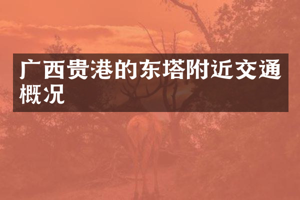 广西贵港的东塔附近交通概况